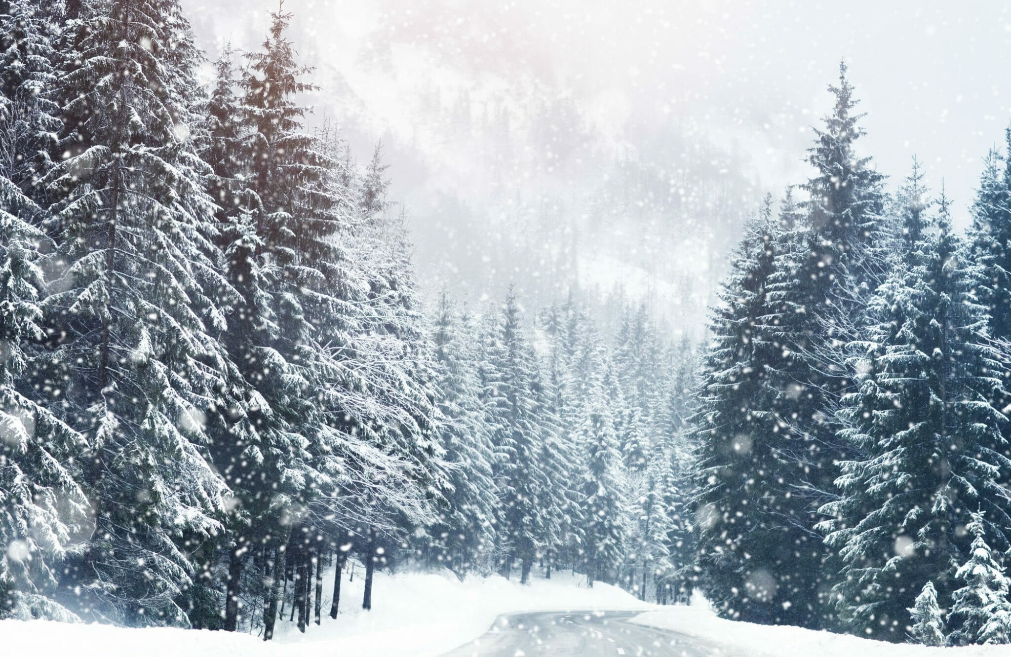 Immagini Montagna Natale.I Misteriosi Riti Del Natale Nelle Montagne Friulane Casa Editrice Longanesi