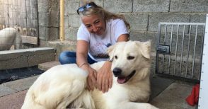 Monica Pais racconta la "Storia del cane che non voleva più amare"